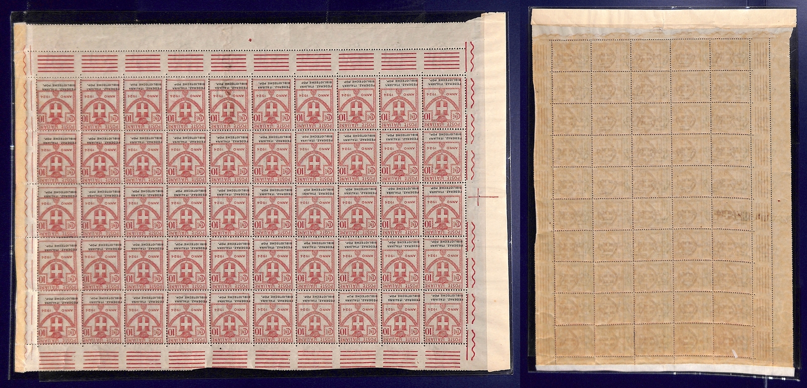 0314 REGNO - 1924 - Federaz. Italiana Biblioteche Pop. - 10 Cent (34 - Enti Parastatali) Con Soprastampa Obliqua E Spost - Other & Unclassified