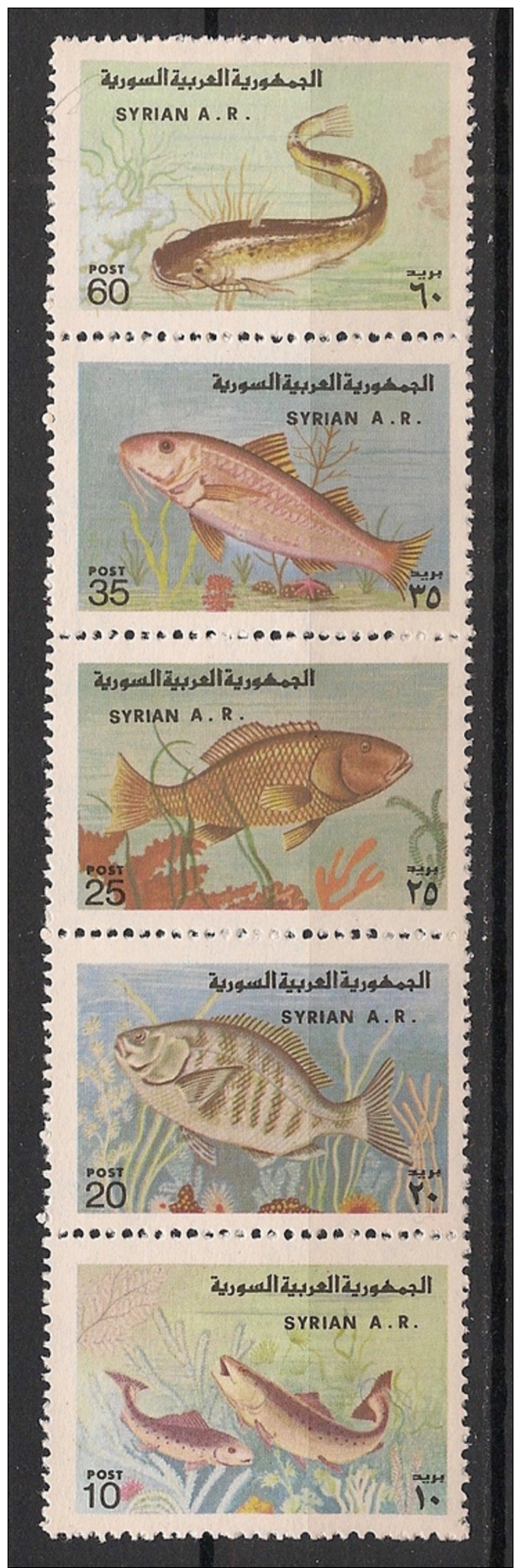 Syrie - 1978 - N°Yv. 520 à 524 - Faune / Poissons - Neuf Luxe ** / MNH / Postfrisch - Fishes