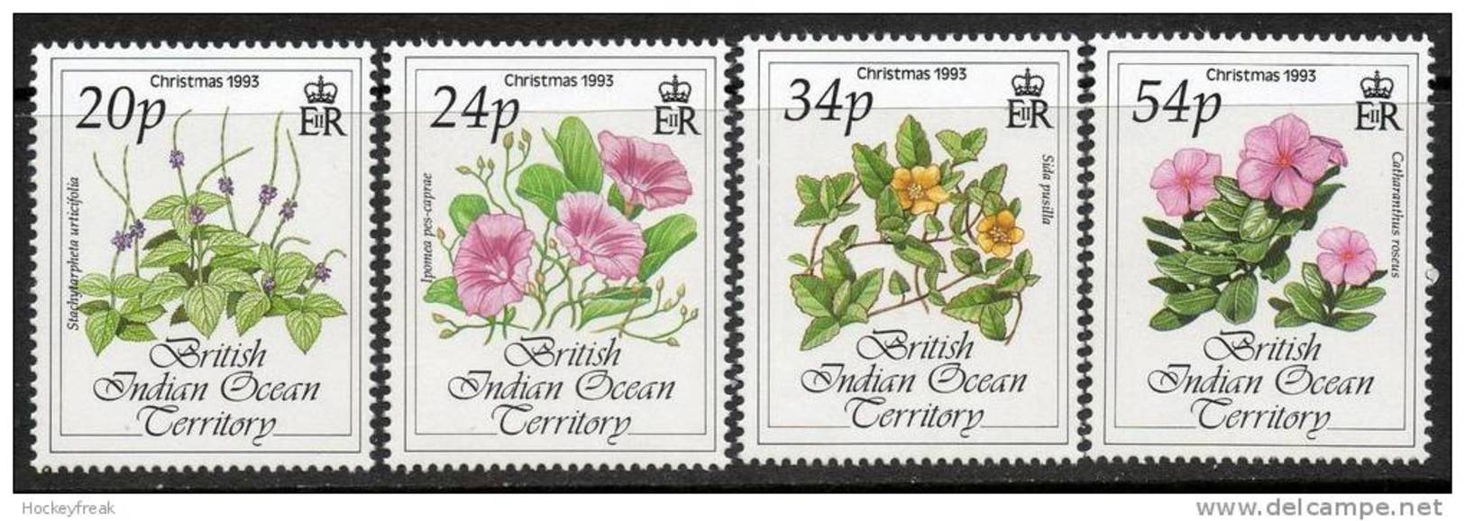 British Indian Ocean Territory 1993 - Christmas Flowers SG141-144 MNH Cat £4.45 SG2015 - Territorio Britannico Dell'Oceano Indiano