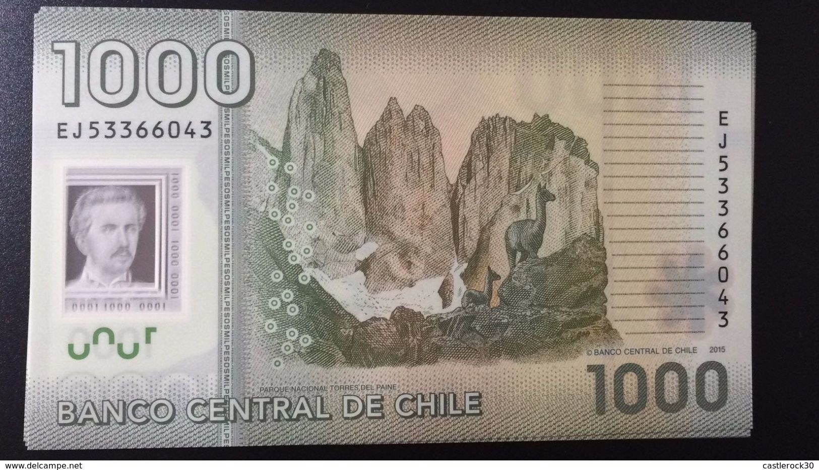 L) 2015 CHILE, BANKNOTES, IGNACIO CARRERA PINTO 1848 -1882, MILITARY, NATIONAL PARK TORRES DEL PAINE, 1000 PESOS, XF - Chili