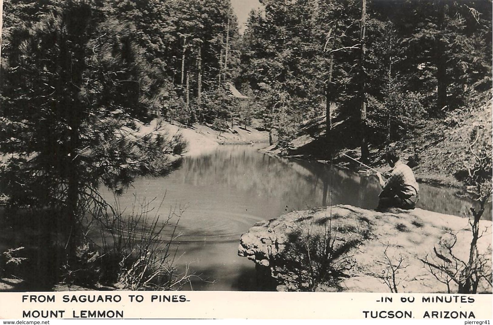 CPA-PUB-1955-USA-ARIZONA-MONT LEMMON -PINES CHALET Et RIVIERE-TBE - Tucson