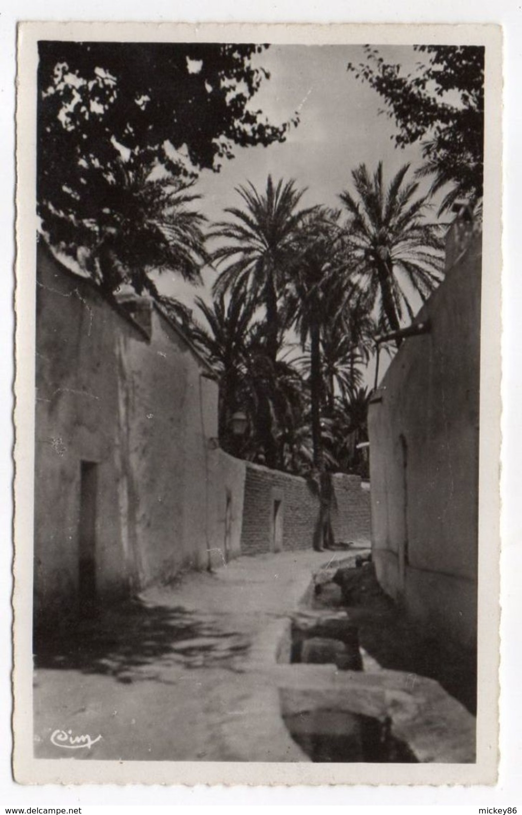 Algérie--LAGHOUAT--Une Rue De La Grande Ségura-- - Laghouat