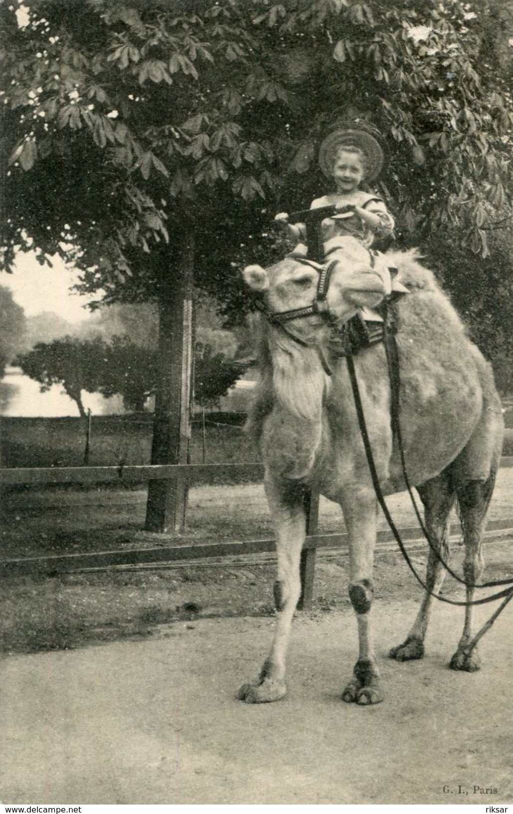 CHAMEAU(PARIS) - Giraffen