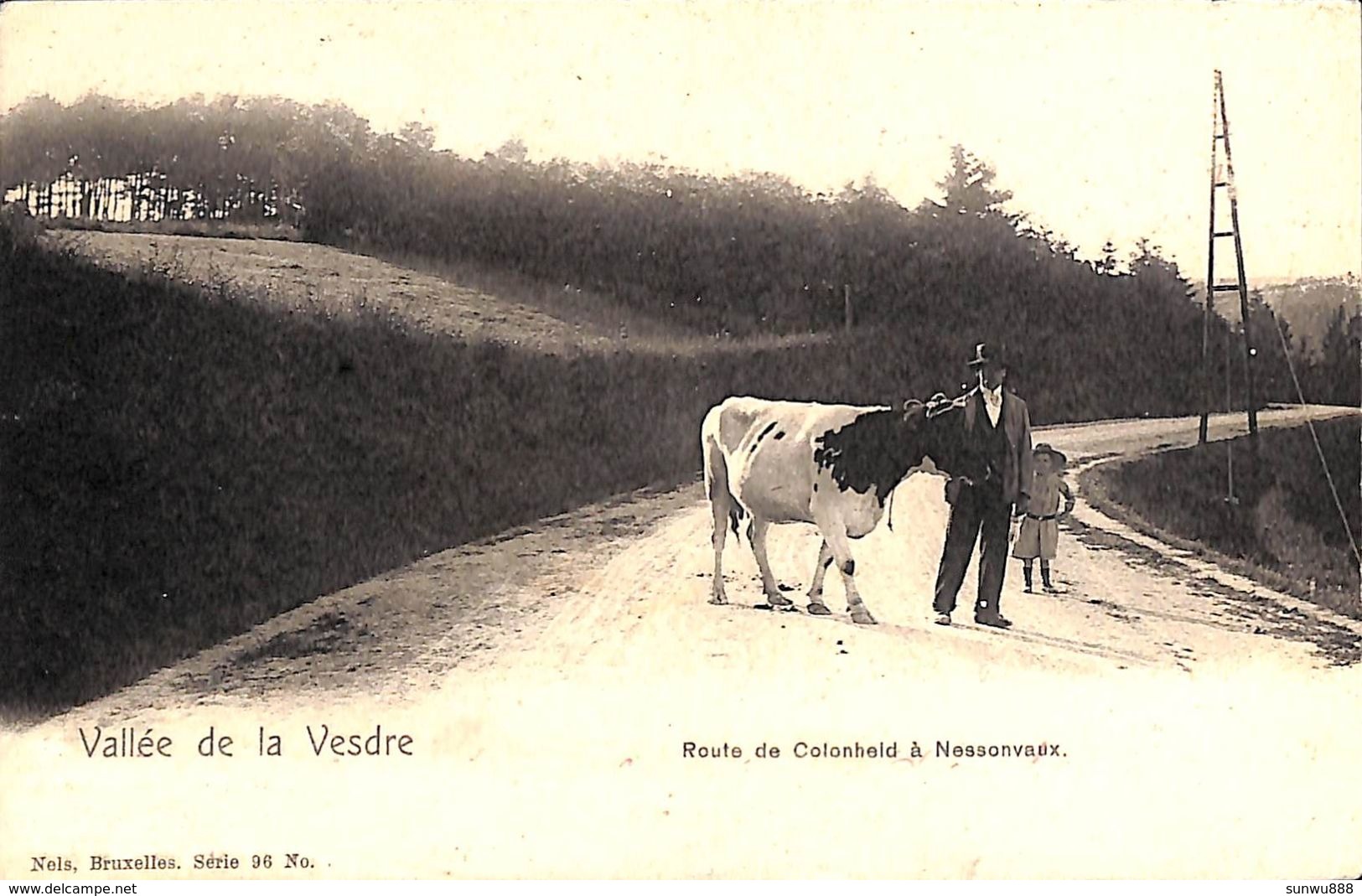 Vallée De La Vesdre - Route De Colonheid à Nessonvaux (animée, Vache, 1905) - Trooz