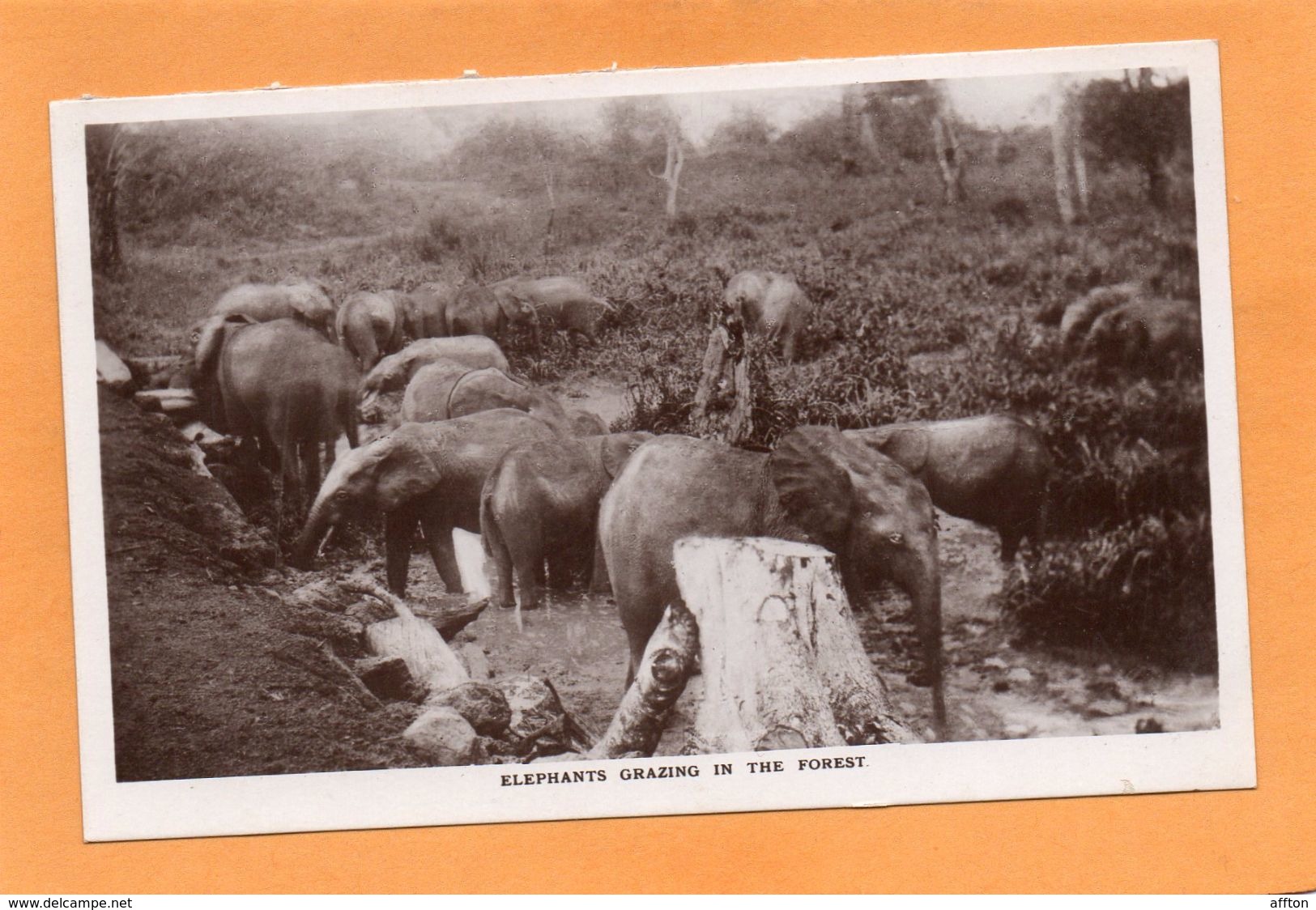 Sudan 1910 Postcard - Soudan