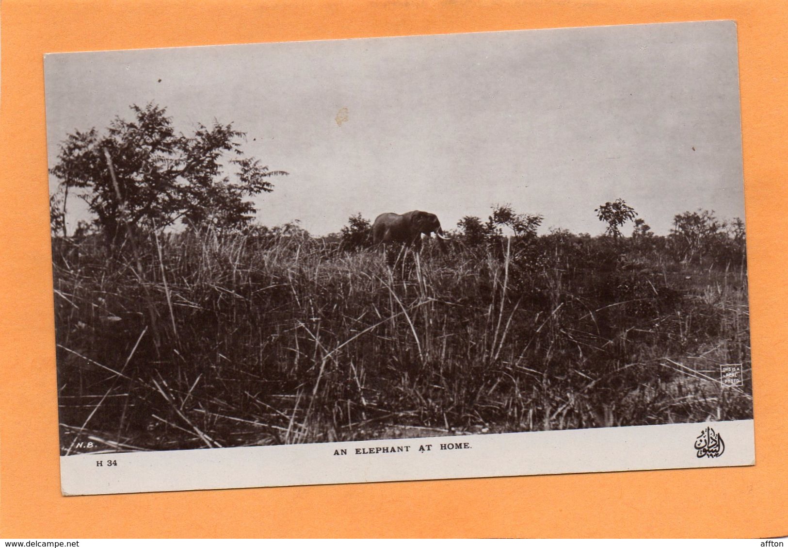 Sudan 1910 Postcard - Sudan