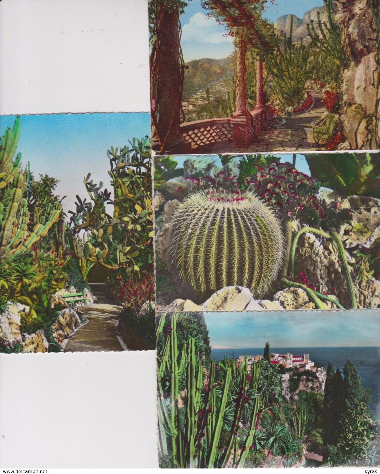 MONACO . Jardin Exotique  Lot 8 CPSM 9X14 - Giardino Esotico