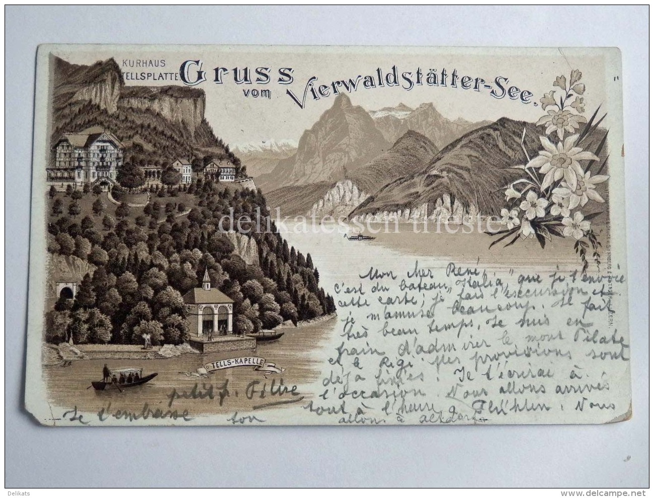 SVIZZERA Schweiz Suisse Vierwaldstattersee Lago Dei Quattro Cantoni Lucerna AK Old Postcard - Lucerne