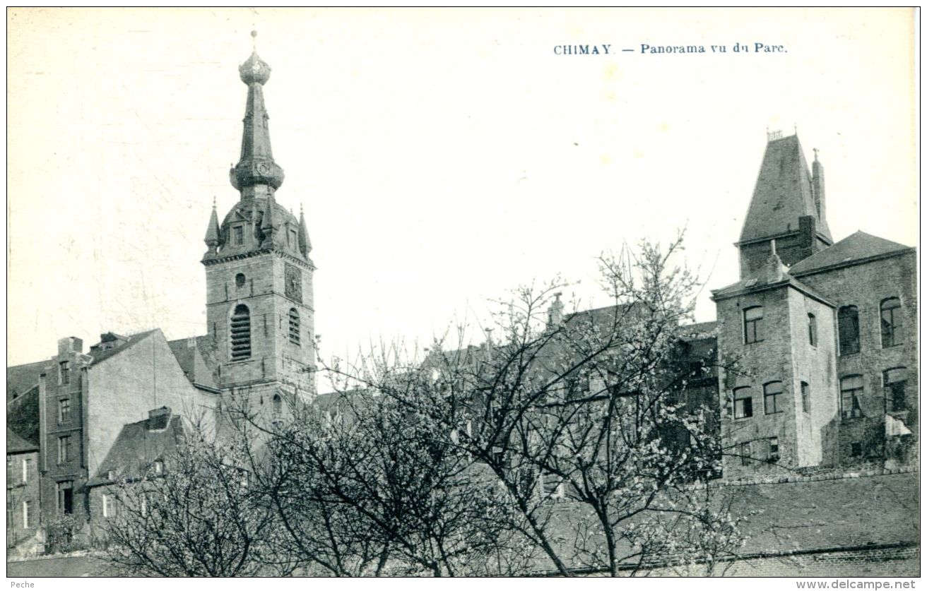 N°57209 -cpa Chimay -panorama Vu Du Parc- - Chimay