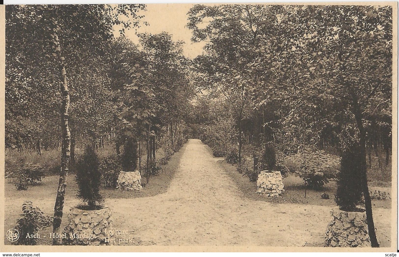 Asch   -   Hotel Mardaga    -    Het Park  -   1951  Tongeren  Naar  Borgerhout - As