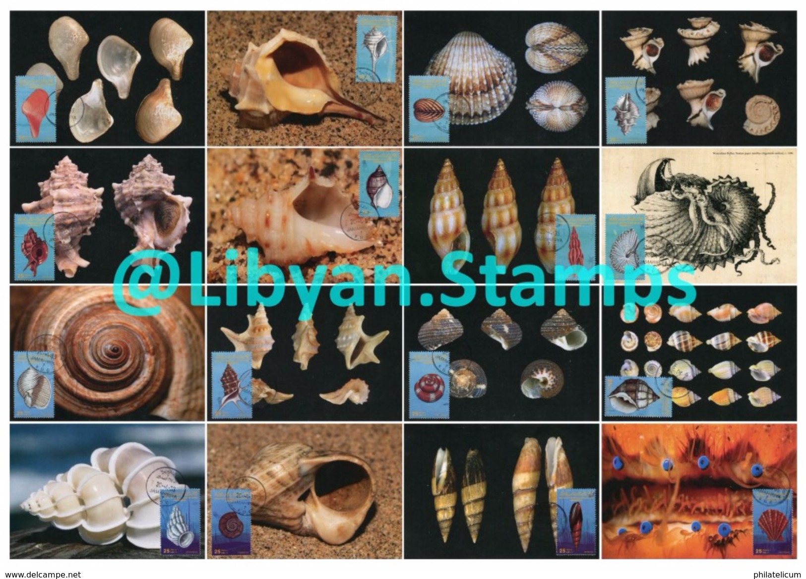 LIBYA - 1985 Shells (16 Maximum-cards) - Coquillages