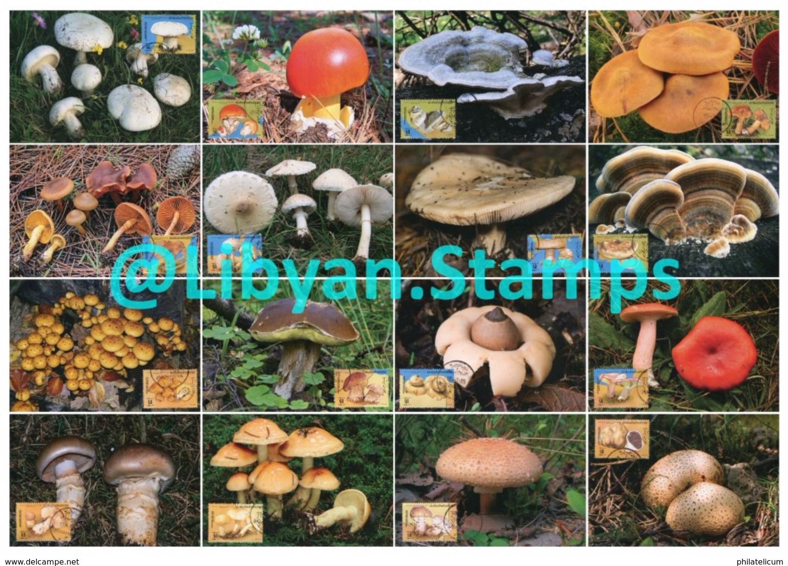 LIBYA - 1985 Mushrooms (16 Maximum-cards) - Champignons