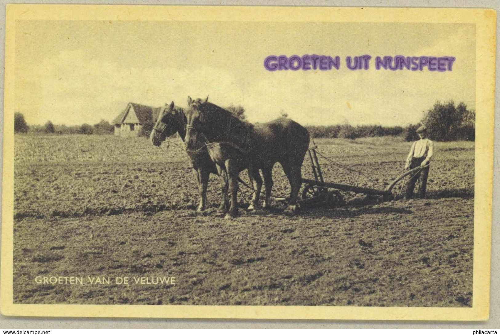 Nunspeet *** Boer Met Paarden Op Het Land - Oud - Nunspeet