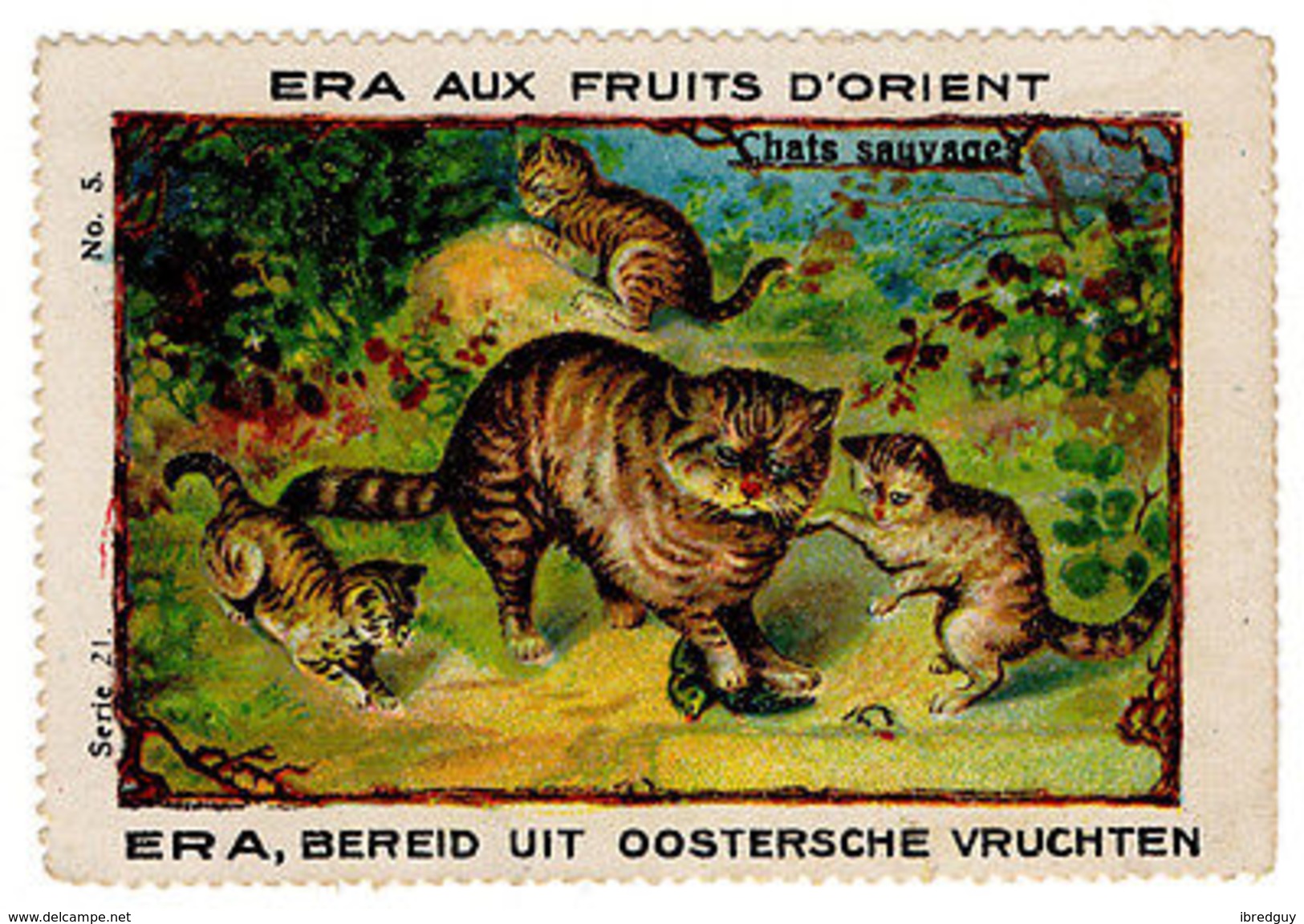 (I.B) Belgium Cinderella : Era Fruit Cats Series 21/5 (Wild Cats) - Other & Unclassified