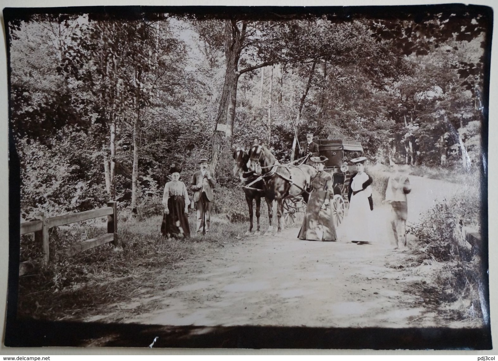 Promenade En Forêt Autour De TROYES ? Photo Vers 1890, Chevaux, Attelage, élégantes - Lieux