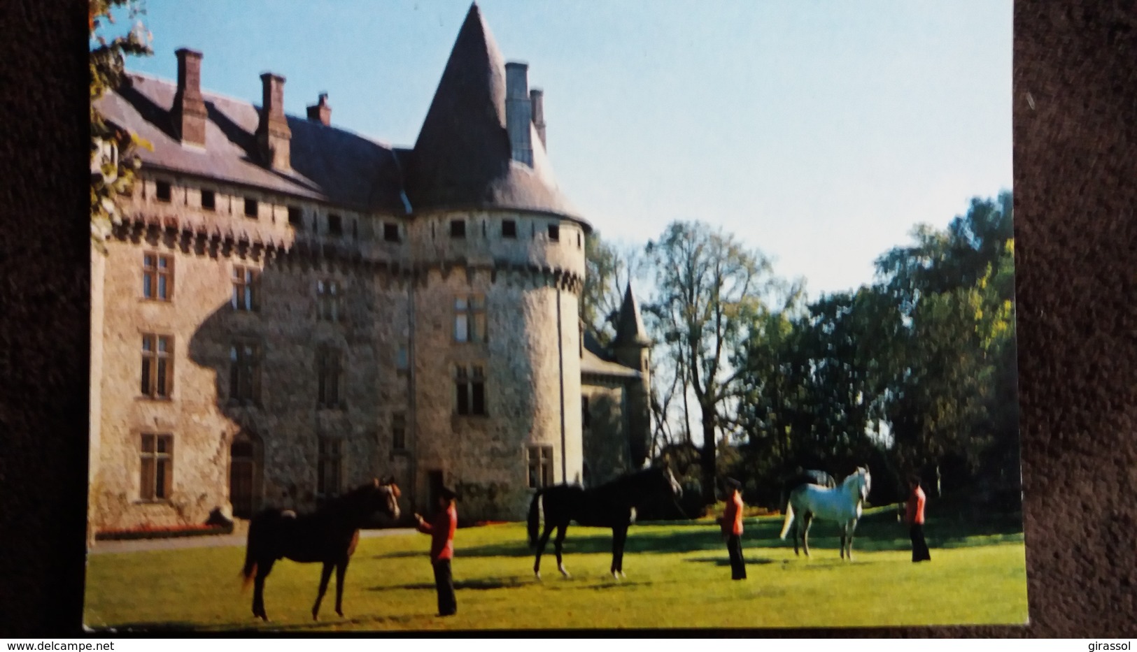 CPSM CHEVAL CHEVAUX HARAS DE POMPADOUR CORREZE PRESENTATION D ETALONS DE SANG DEVANT CHATEAU - Chevaux