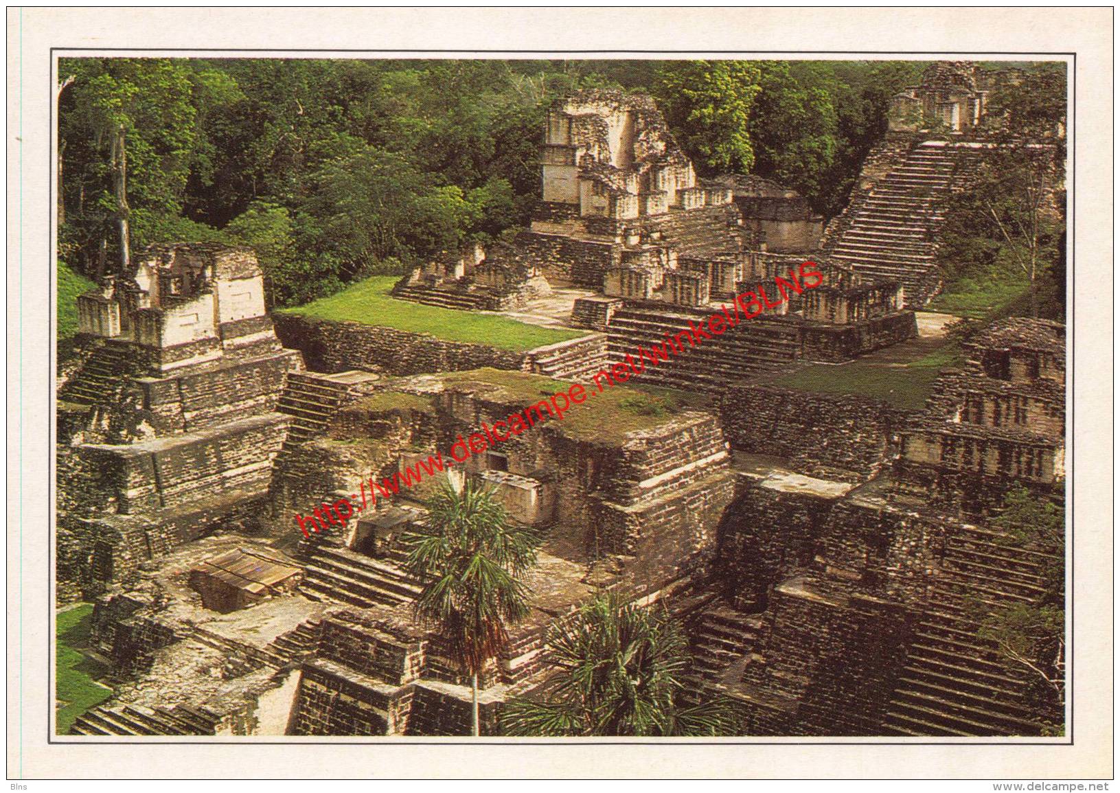 Tikal - Guatemala - Guatemala