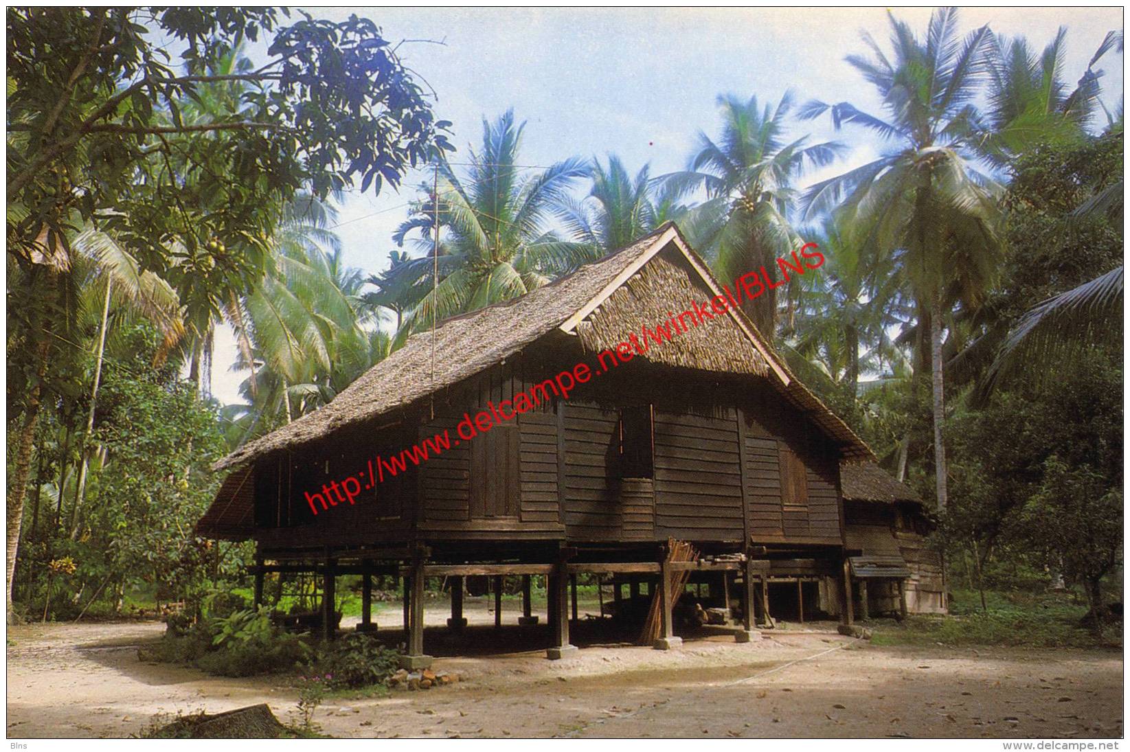 Typical Malay Kampong House - Malaysia - Malaysia