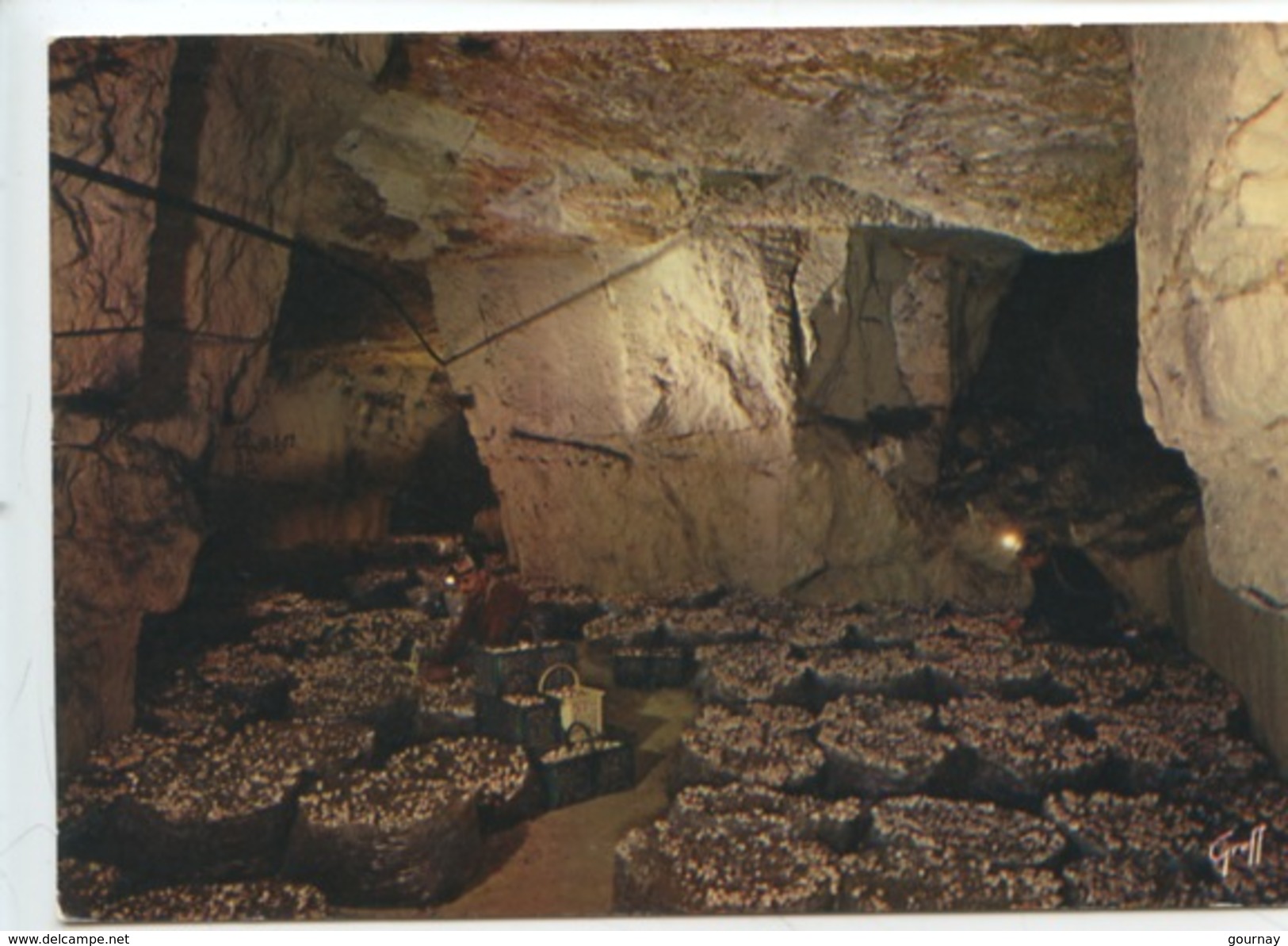 Cave à Champignons Installée Dans Les Galeries (carrières De Tuffeau) N°417/28 Cp Vierge - Champignons