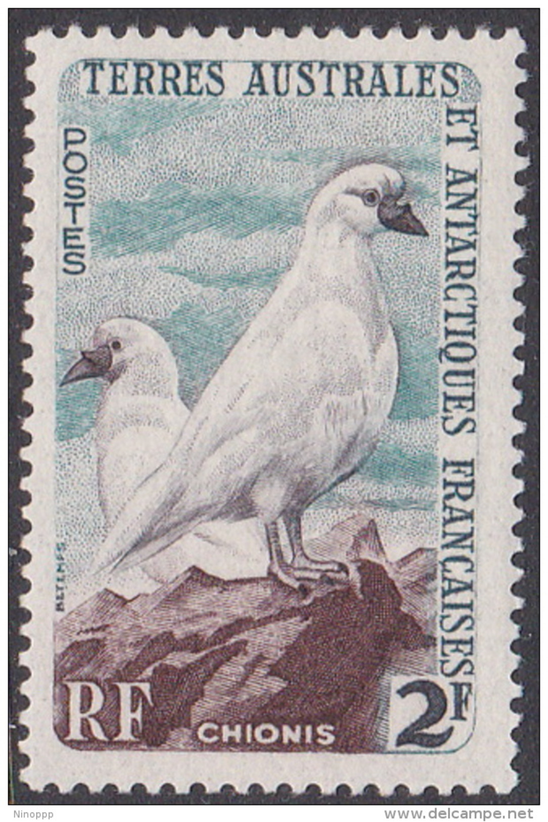 French Southern And Antarctic Territory SG 6 1956 Definitives 2F Blackfaced Sheatbills Mint Hinged - Ungebraucht