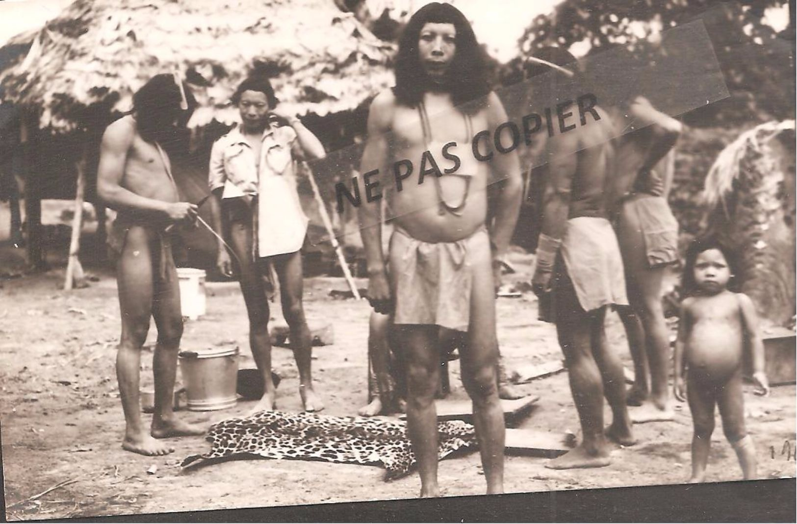 Cp  Photo -  Marque Au Dos  Manuscrit   " Indiens De Guyane" - Sonstige & Ohne Zuordnung