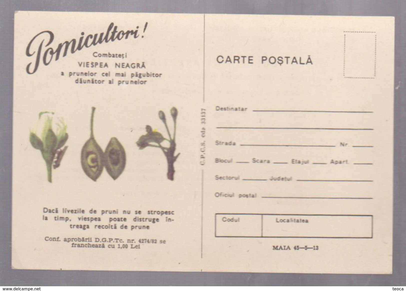 FRUITS,POMICULTORI, POST CARD STATIONERY  ROUMANIE, 1982, Black WASP   PLUM - Agricultura