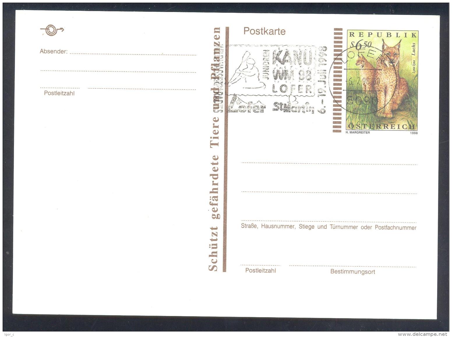 Austria 1998 Postal Stationery Card: Lushs Lynx Lynx; Sport Cayak Kayak Canoe Kajak Kanu; Juniors KAnu WM World Champion - Kanu