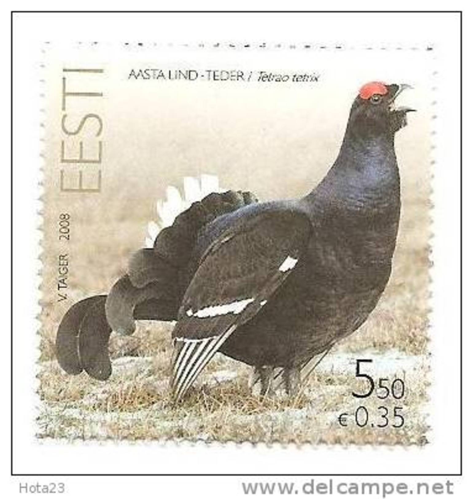 Estonia Estland - Black Grouse Bird 2008 Stamp MNH - Estland