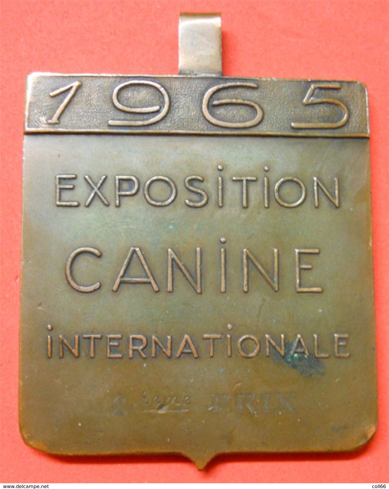 1965 Medaille Perpynya Perpignan Exposition Canine Internationale Ecusson Catalan Bronze 233 Gr Catalunya - Other & Unclassified