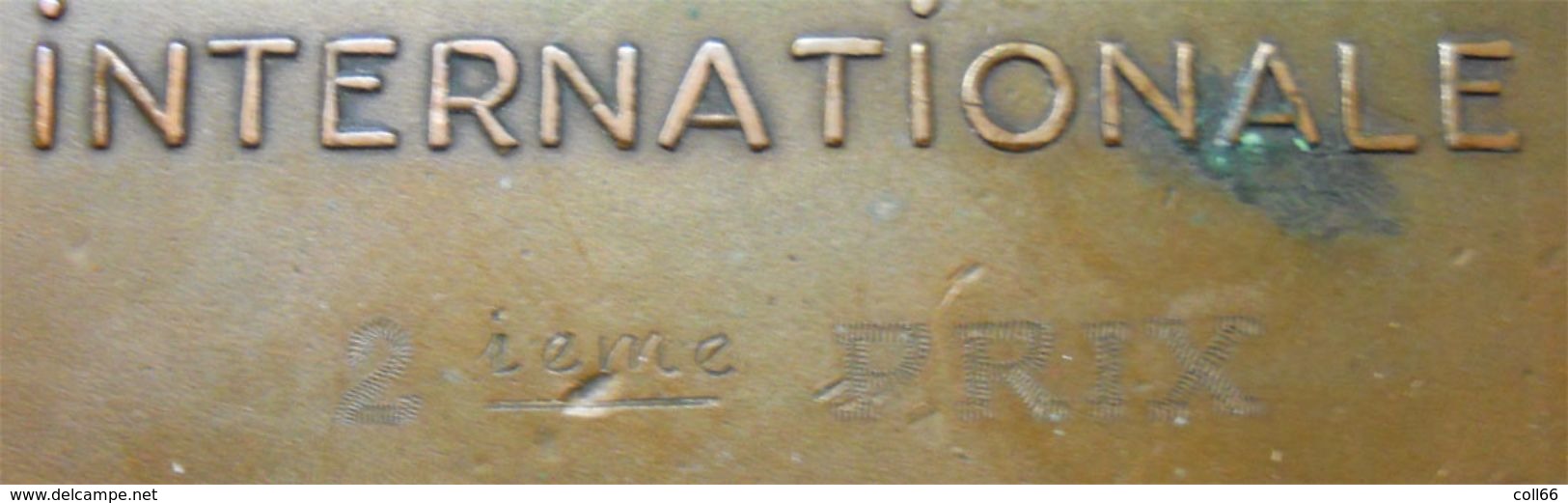1965 Medaille Perpynya Perpignan Exposition Canine Internationale Ecusson Catalan Bronze 233 Gr Catalunya - Autres & Non Classés