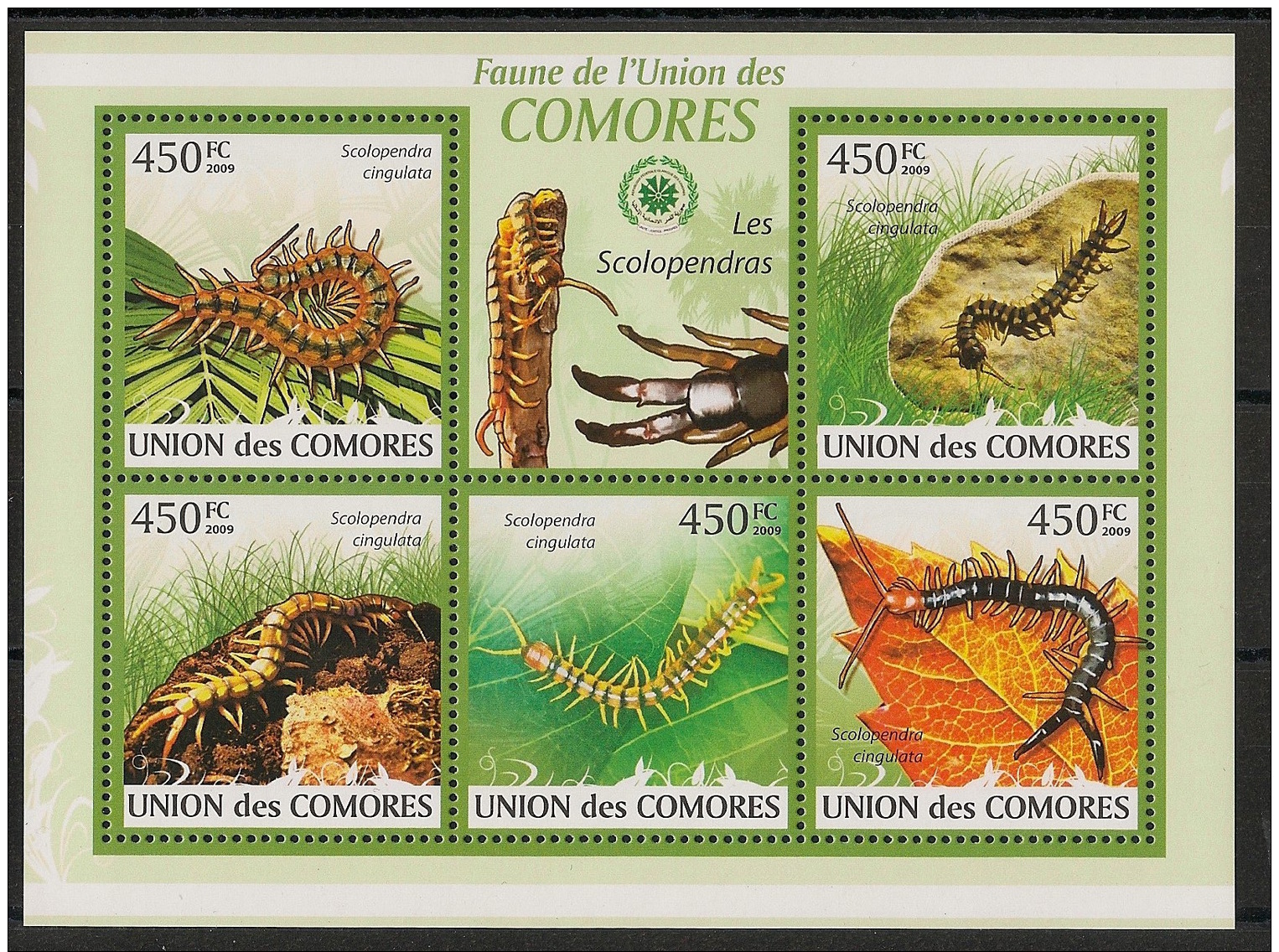 Comores - 2009 - N°Yv. 1746 à 1750 - Scolopendre - Neuf Luxe ** / MNH / Postfrisch - Sonstige & Ohne Zuordnung