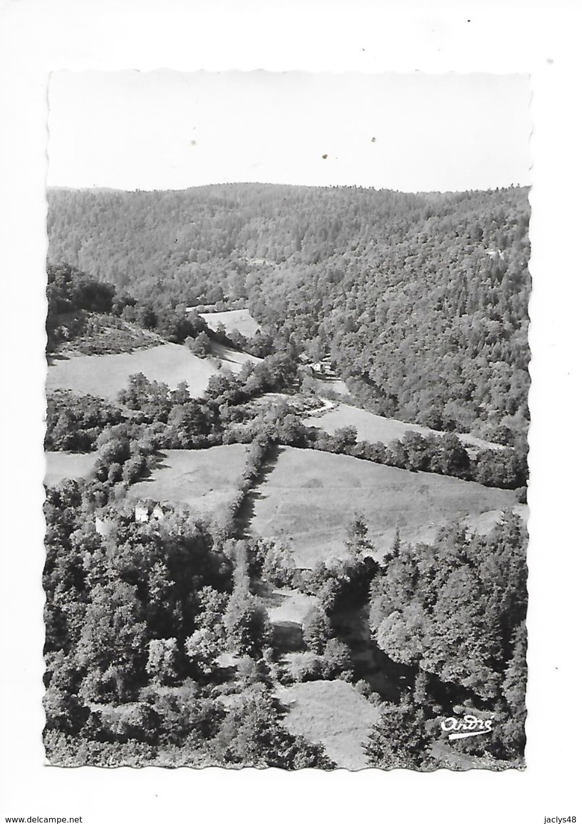 Environs Des ANCIZES  (cpsm 63)  Gorges De La Sioule Et Ruines De La Chartreuse De Port Ste-Marie  -    - L 1 - Other & Unclassified