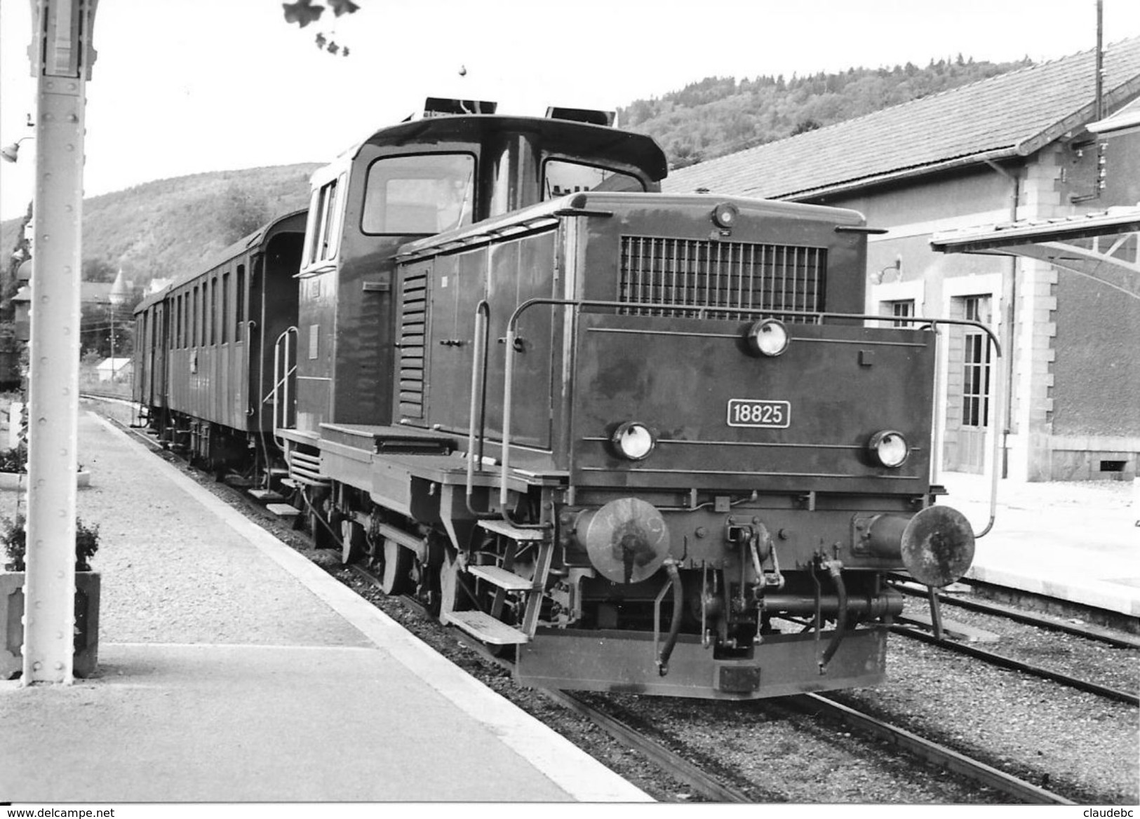 Train Des CFF Stationnant En Gare De DIVONNE LES BAINS En 1962 - Stations - Met Treinen