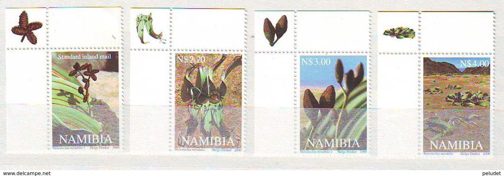 Namibia - 2000 Welwitschia Mirabilis, Prehistoric Plant  - 4 V.- Mint ** - Namibia (1990- ...)