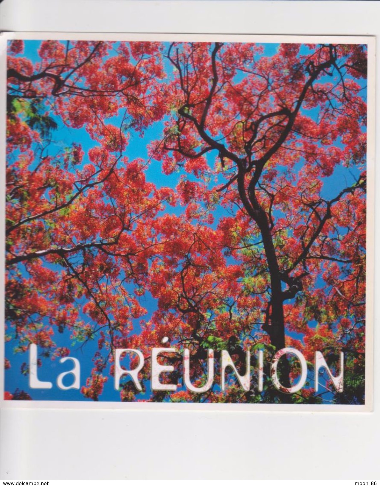 974 - ILE DE LA REUNION  - 5 CPA - CILAOS - ET SES ENVIRONS - LE VOLCAN - FLAMBOYANT - FORET PRIMAIRE ST PHILIPPE - Autres & Non Classés