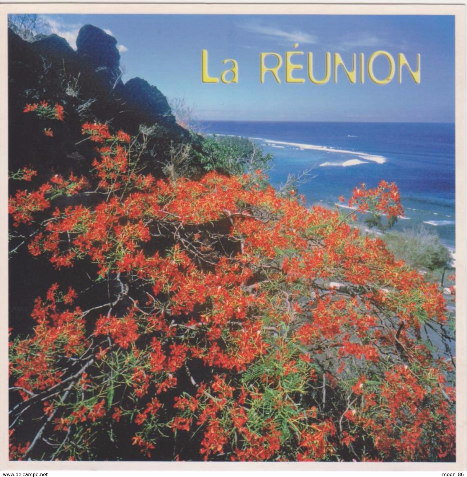 974 - ILE DE LA REUNION  - 4 CPA - CILAOS -STE ANNE - STE ROSE - FLAMBOYANT - VOLCAN - Autres & Non Classés