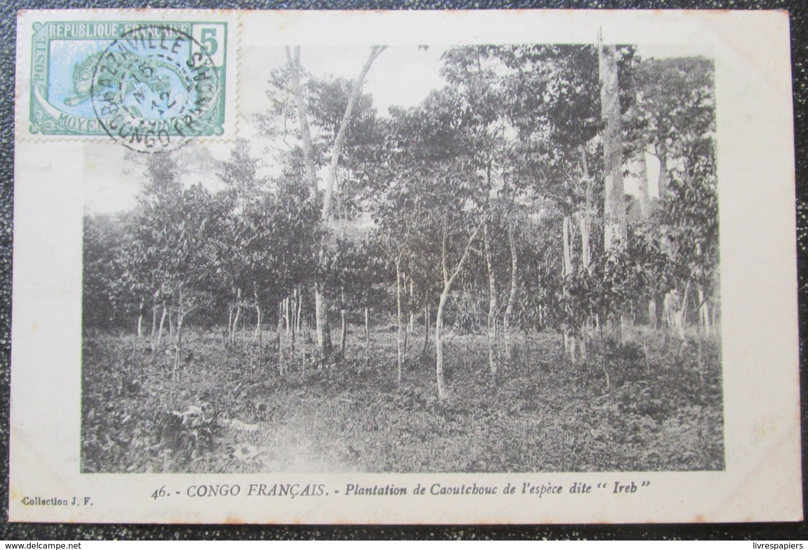 Congo Français Plantation De Caoutchouc  Espece Ireb  Cpa Timbrée - Congo Français