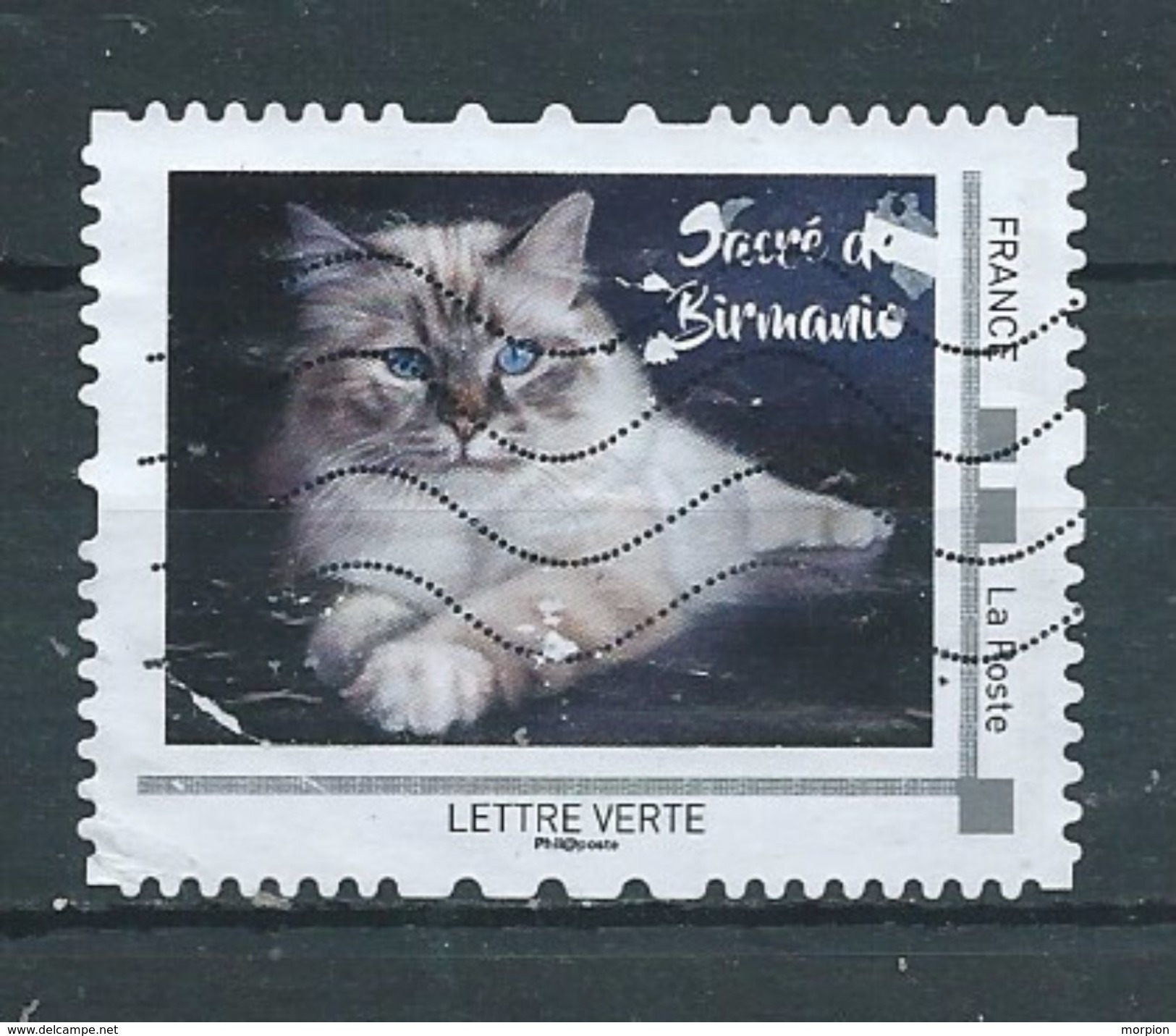 FRANCE  MONTIMBRAMOI Oblitéré  Chat SACRE DE BIRMANIE - Domestic Cats