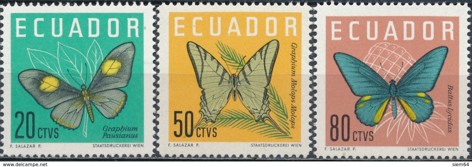 Ecuador  Butterflies - Vlinders