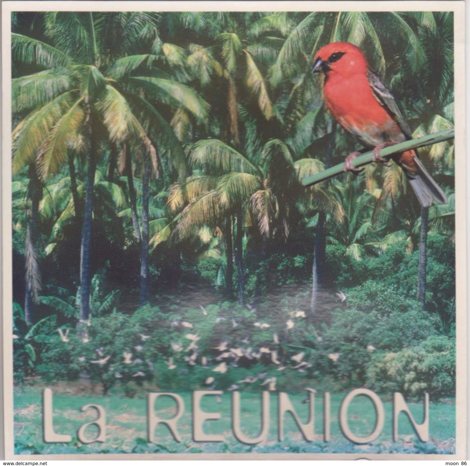 974 - ILE DE LA REUNION  - LES  ENVIRONS DE SAINT PAUL  - OISEAU LE CARDINAL - Autres & Non Classés