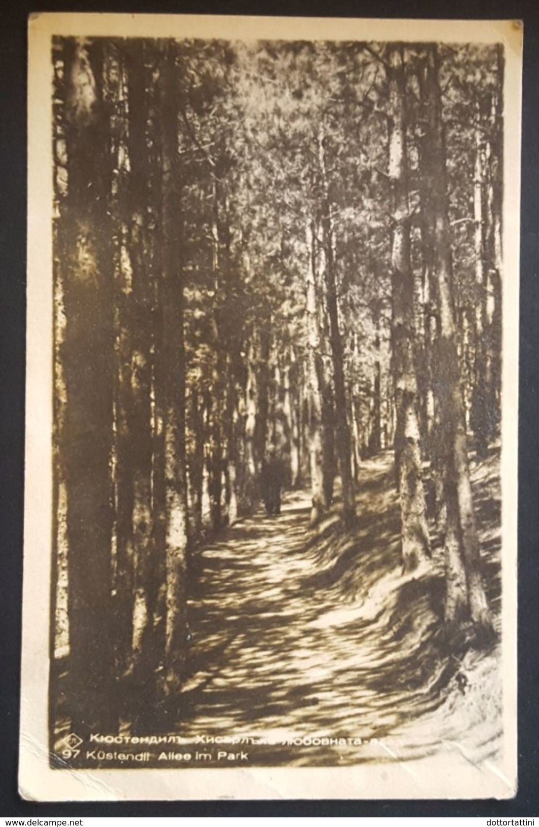 Kyustendil Kyoustendil Kjustendil - Bulgaria - Allee Im Park - Trees Wood Nv 1940 - Bulgaria