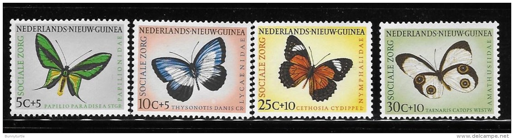Netherlands New Guinea 1960 Butterflies MNH/MLH - Nueva Guinea Holandesa