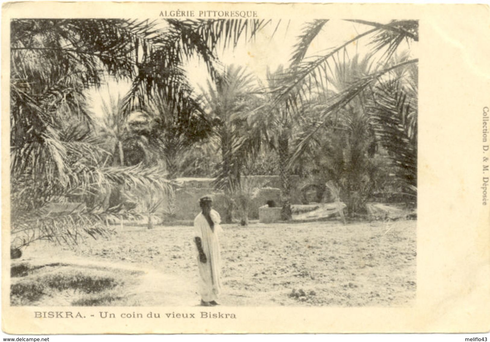 Algérie /////  CPA A  / Biskra - Un Coin Du Vieux Biskra - Biskra