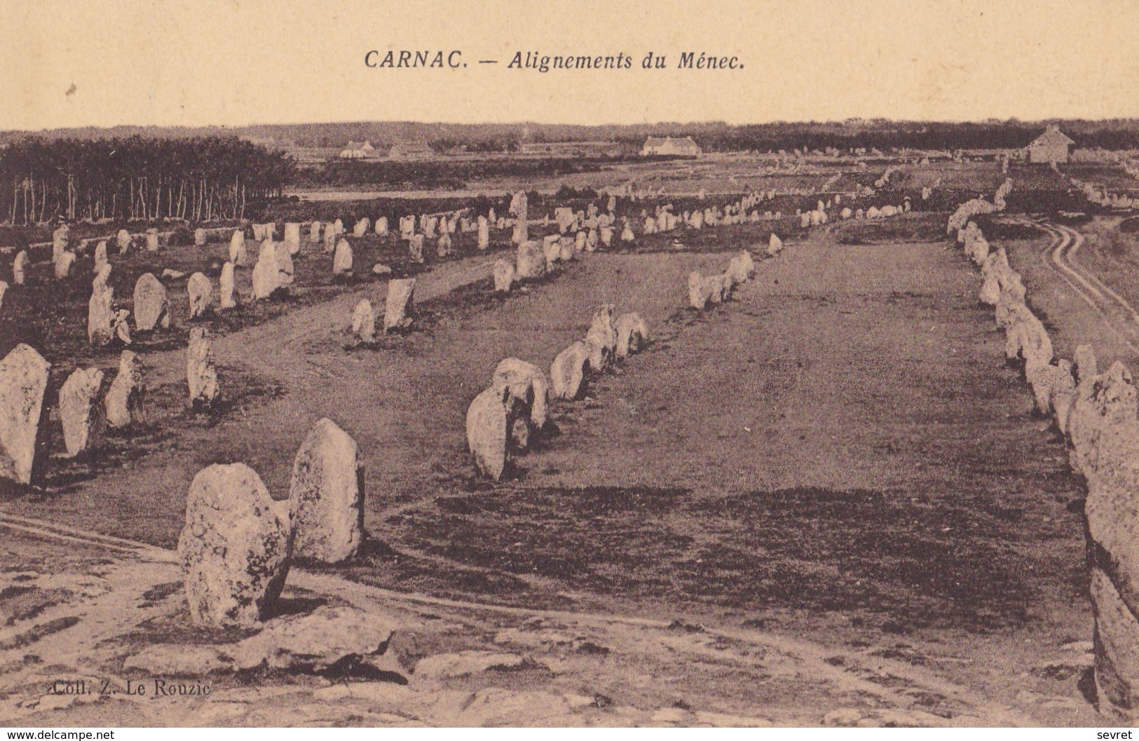 CARNAC. - Alignements Du Ménec - Dolmen & Menhire