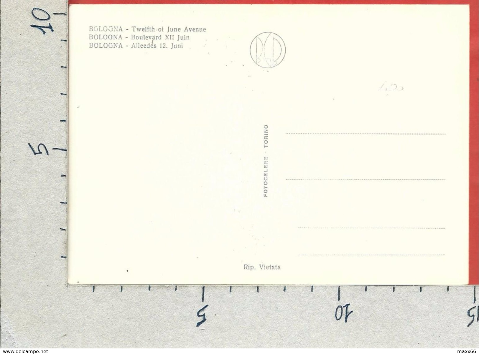 CARTOLINA NV ITALIA - BOLOGNA - Viale XII Giugno - 10 X 15 - Bologna
