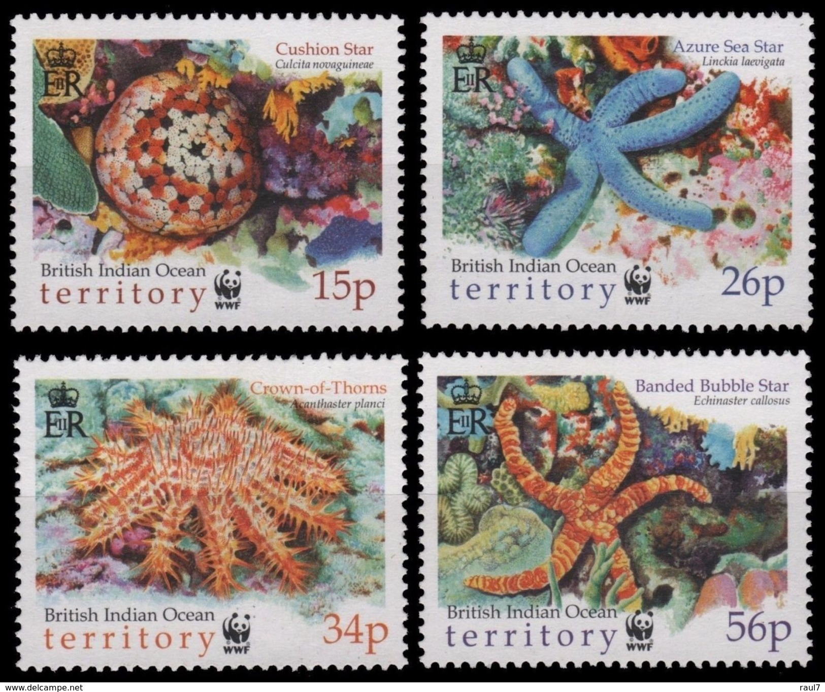 B.I.O.T. 2001 - Faune Marine, étoiles De Mer, Wwf - 4 Val Neufs // Mnh - Territoire Britannique De L'Océan Indien