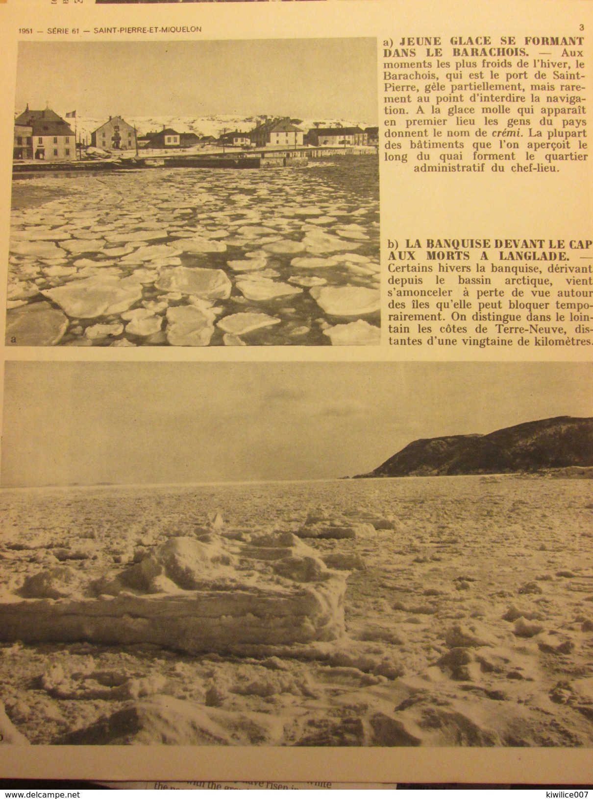Saint-Pierre-Et-Miquelon  Dossier De  12 Photographies   +++ 1951 - Saint-Pierre-et-Miquelon