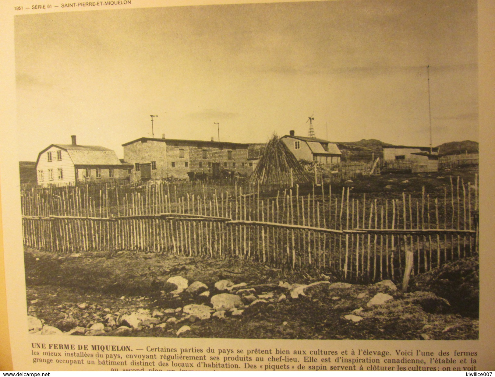 Saint-Pierre-Et-Miquelon  dossier de  12 photographies   +++ 1951
