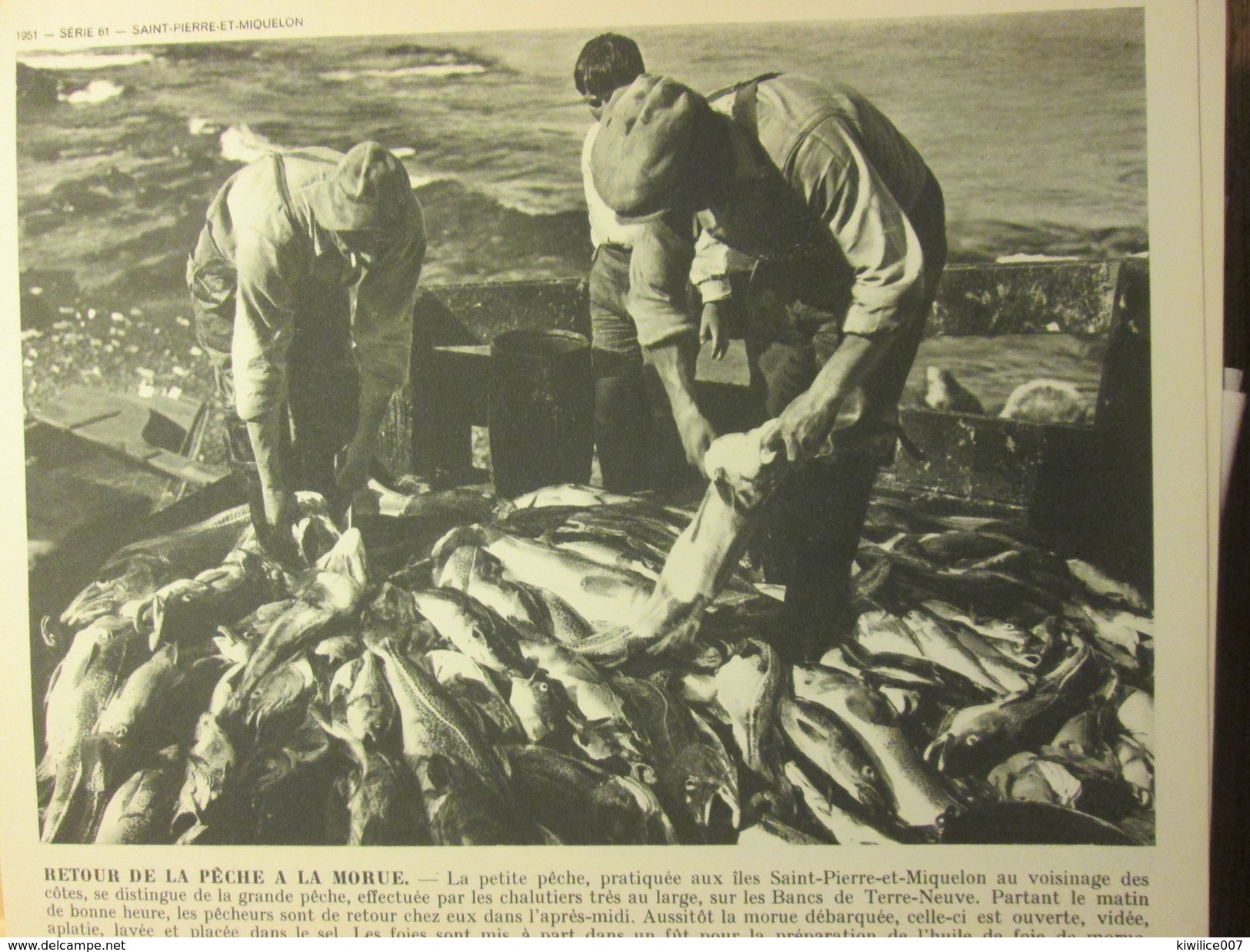 Saint-Pierre-Et-Miquelon  dossier de  12 photographies   +++ 1951