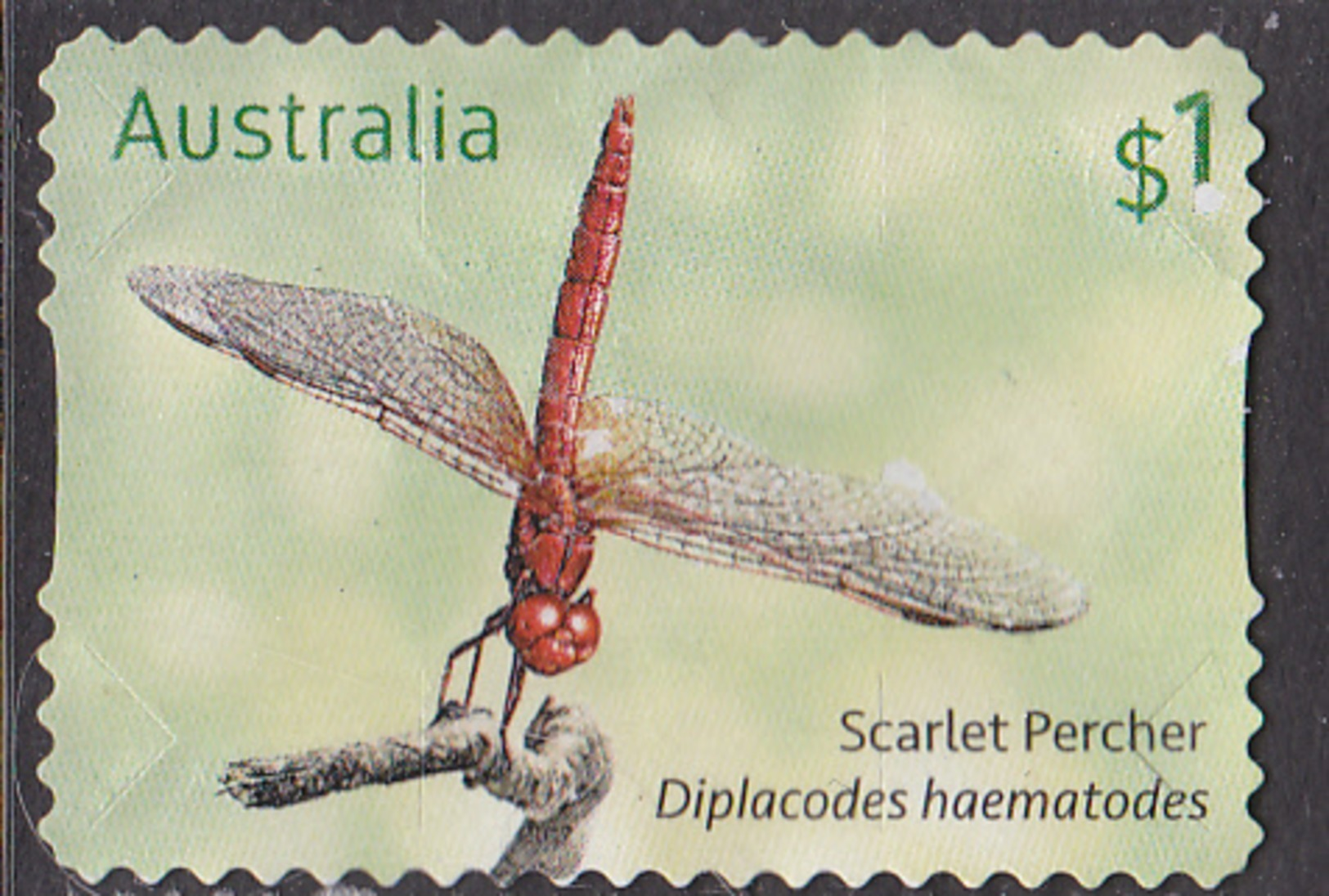 2017. AUSTRALIAN DECIMAL. Dragonflies. $1. Scarlet Percher. (Diplacodes Haema. FU. - Usati